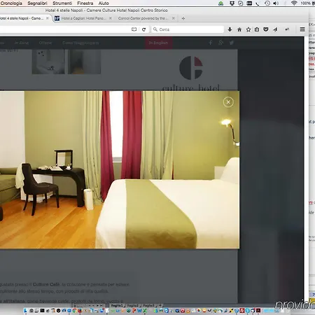 Hotel Culture Centro Storico 4*